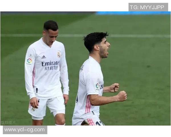 韦恩与海登的巅峰对决谁能笑到最后揭开悬念之战的真相