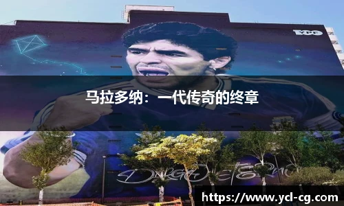 完美体育