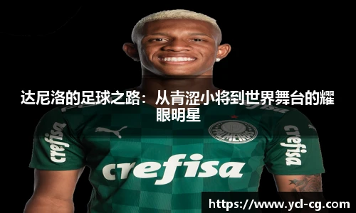 达尼洛的足球之路：从青涩小将到世界舞台的耀眼明星